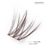 Innocent – ​​Light Volume Lash Look